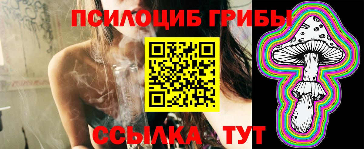 купить закладку  Вход с VPN  Псилоцибиновые грибы Psilocybe  Саратов  Псилоцибиновые грибы мицелий 
